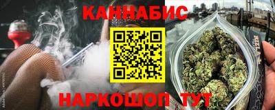мдпв Кингисепп