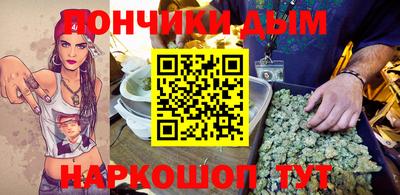 мдпв Кингисепп
