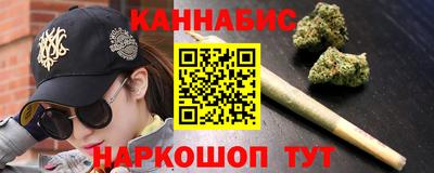 мдпв Кингисепп