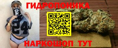 мдпв Кингисепп