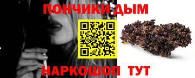 мдпв Кингисепп
