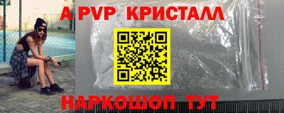 мдпв Кингисепп
