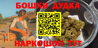 мдпв Кингисепп