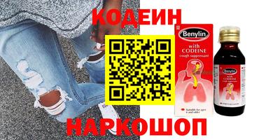 мдпв Кингисепп