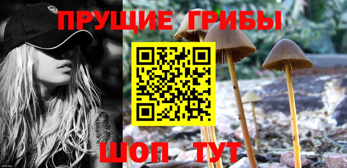 Галлюциногенные грибы Magic Shrooms Конаково